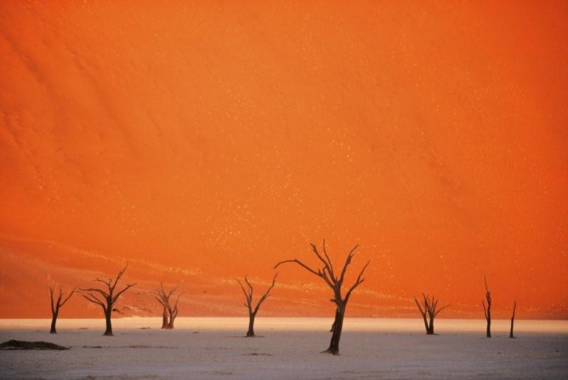 Namib Wüste